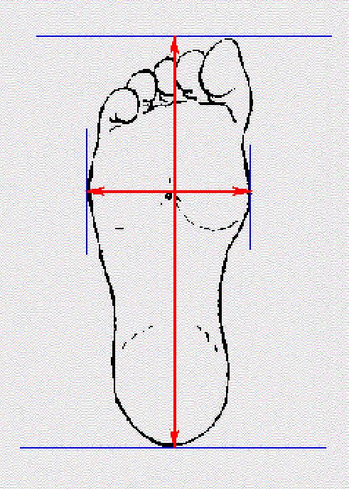 Muốn quy đổi size giày Việt Nam và Mỹ cần đo chính xác chiều dài, chiều rộng của bàn chân