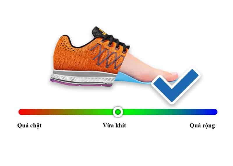 Bảng quy đổi size giày Adidas , Nike nam nữ chính xác nhất