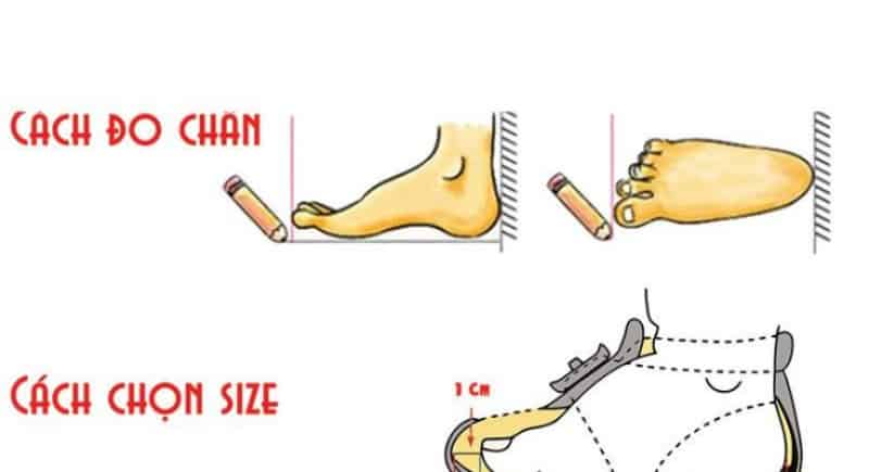 Các bước đo size giày cho trẻ em chính xác nhất