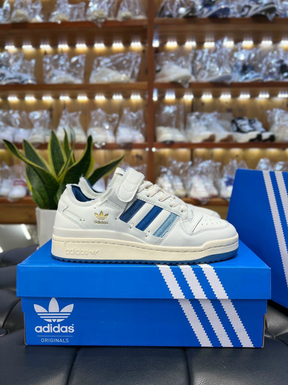 Giày Adidas Forum 84 Low White Altered Blue Like Auth